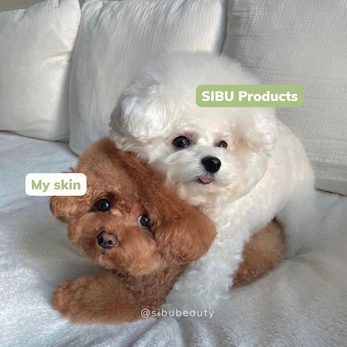 Our products will become your skin’s new best friend 🧡

(photo credit: <a href="/_mini/">Amanda Johnson</a>.burger)