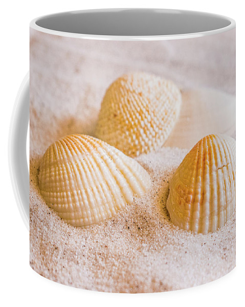 denisew428's tweet photo. Check out my collection of #beach themed #coffeemugs

https://t.co/LGzXXHCS0D

#BuyArtThisSpring #springforart #coffeelovers #fineartamerica https://t.co/eUGNyI35sG