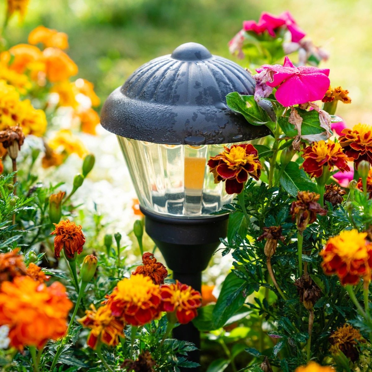 GotLights_tx's tweet photo. It's time to bring new light to your backyard and watch it flourish! To get started on your project, call us today: (512) 394-1990. 🌷 #LandscapeLighting https://t.co/YyKdentiJy