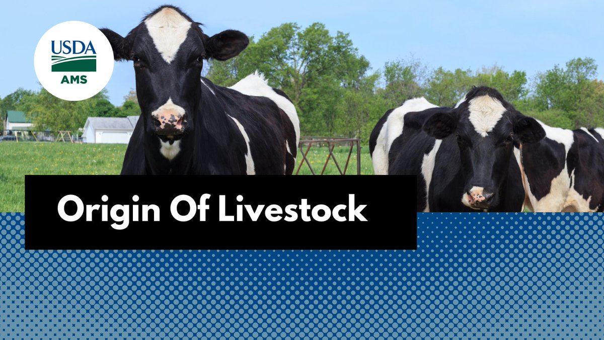 USDA_AMS's tweet photo. The Origin of Livestock final rule provides clear and uniform standards about how and when livestock may be transitioned to organic dairy production. See what’s changing: https://t.co/Hj6mWRwu9x 
#organic #organicdairy https://t.co/rzEZt7auRR