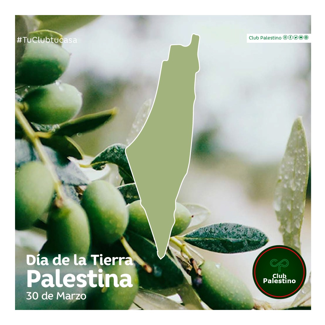 Club Palestino tweet media