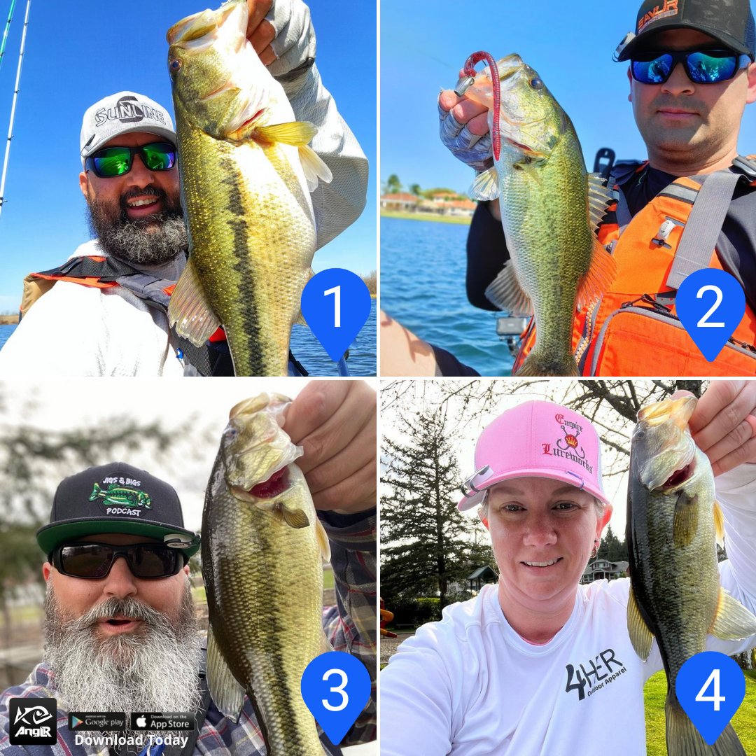ANGLRfishingapp's tweet photo. Pick your favorite catch of the week in the comments below β¬οΈ
Want a chance to be featured? Tag us in your catches! π₯
#bass #liveforthewater #bassfishing #kayakfishing #largemouthbass #largemouth #fishing #anglrbullseye #anglrapp #fishingaddict #fishinglife #fishingislife https://t.co/LsjmwDtrFs
