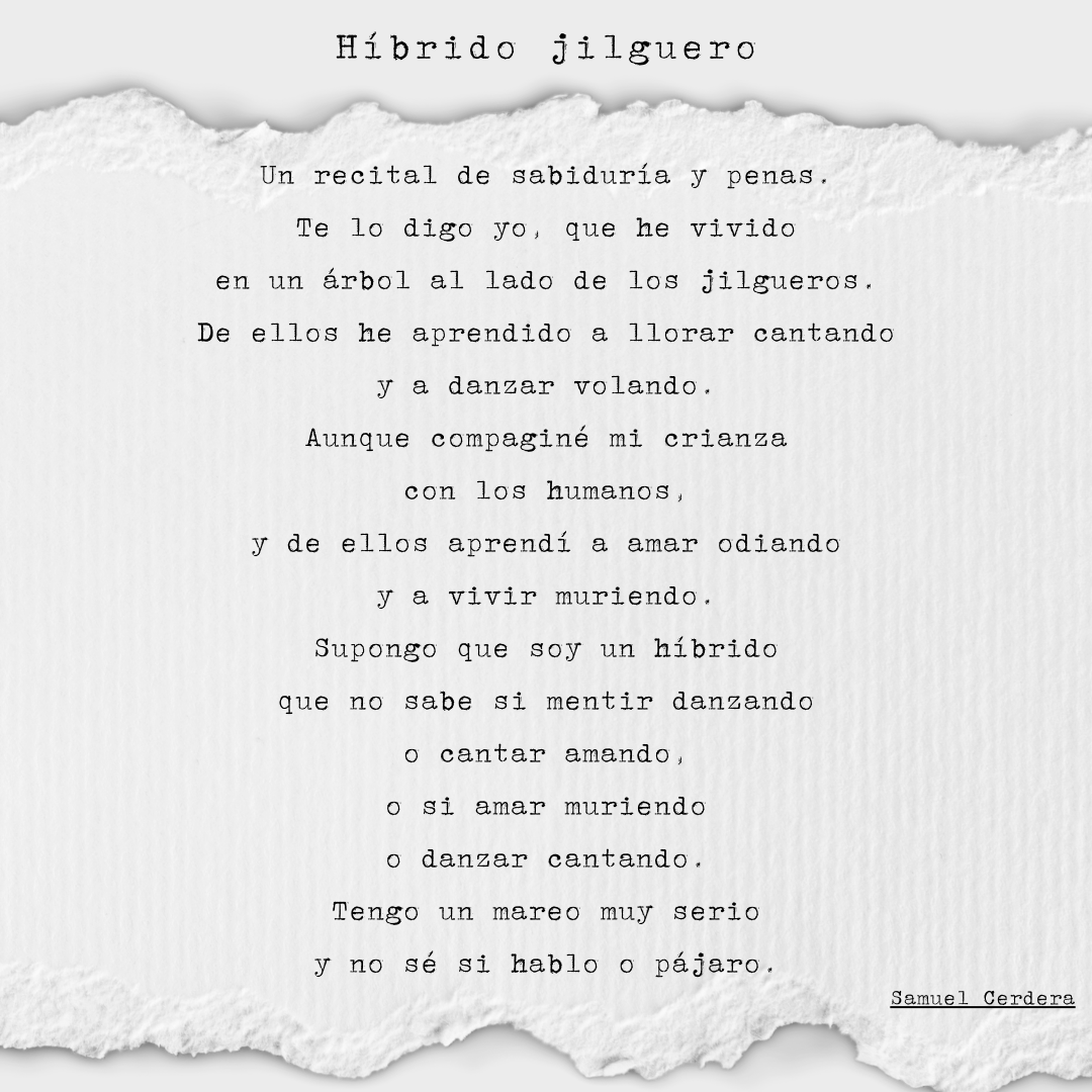 SamuelCerdera's tweet photo. Os comparto esto por aquí, a ver qué os parece. De #ErrandoYFallando, por supuesto.

#Poesía #Poema #Poemario https://t.co/wBBtNGBKMi