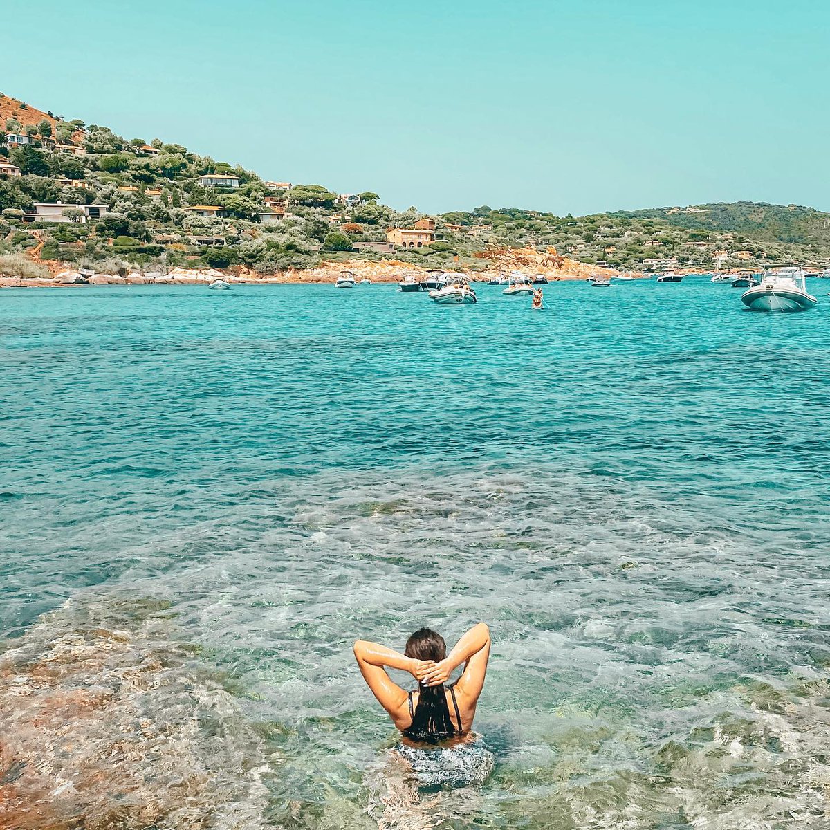 Spytail Rum tweet media