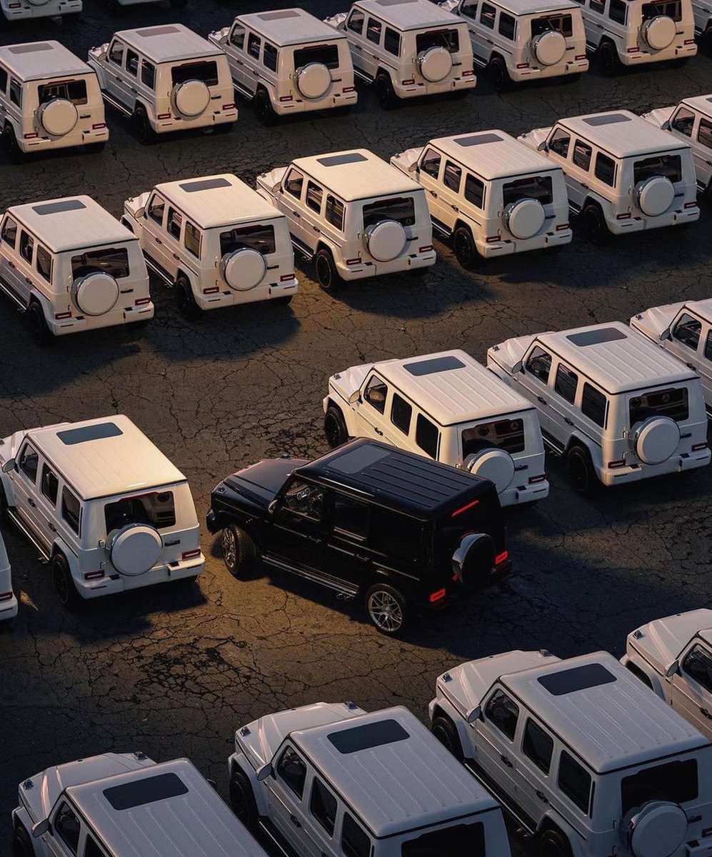 𝗦𝗧𝗔𝗡𝗗 𝗢𝗨𝗧 🦅