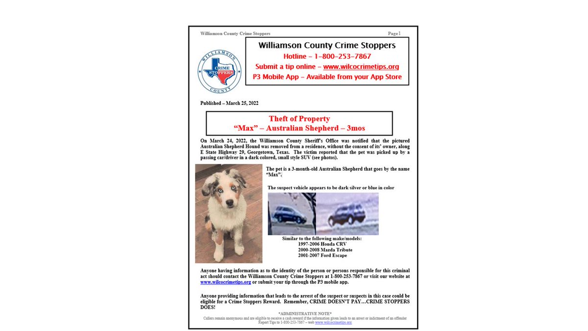 Help bring Max home!