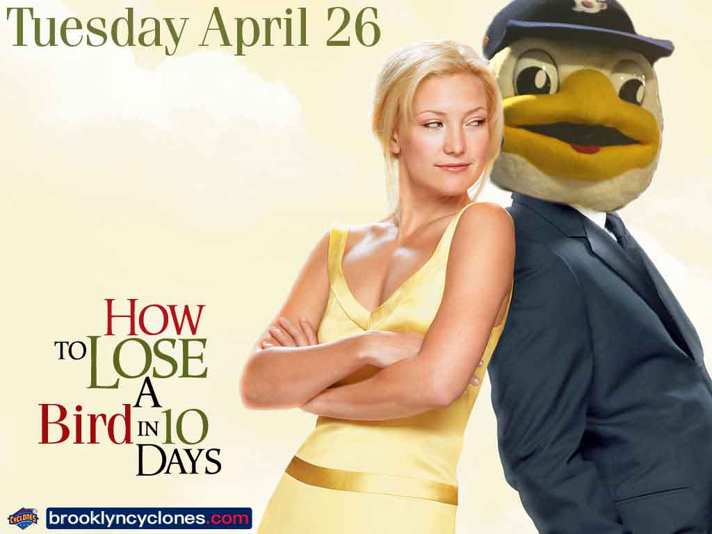 BKCyclones's tweet photo. Boy Meets Girl.   Girl finds out boy is actually a seagull.   You know, that old story.    Join us on Tuesday, April 26th as we celebrate Rom-Com Appreciation Day.

#AmazinStartsHere #milb https://t.co/x5YqnoksZj