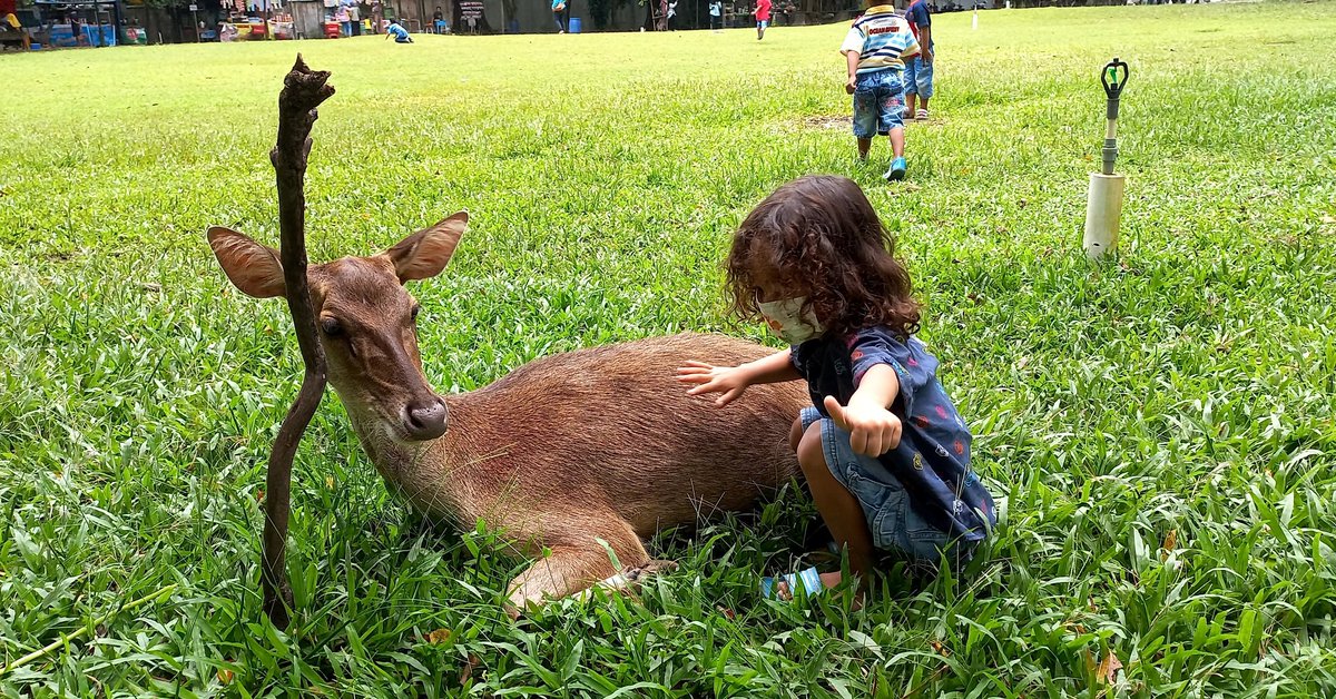 Kriwil mama 😁😁