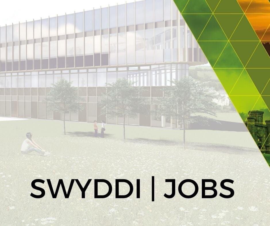 yr_egin's tweet photo. **SWYDDI **
Mae @S4C yn hysbysebu am y swyddi canlynol : 
💻 Datblygwr Gwe 
🖥 Peiriannydd DevOps AWS
📲 Dylunydd Profiad (Iau)

Mwy o wybodaeth | More info👇
https://t.co/qvsWGgzvTg https://t.co/tHs2kxbNH8