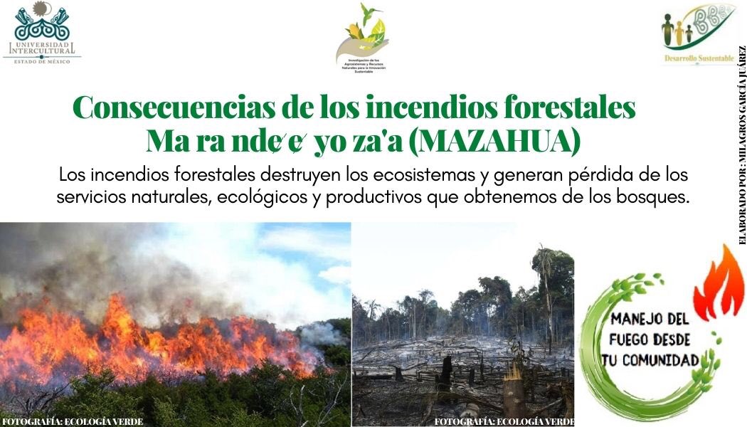 UIEMOficial's tweet photo. 🌱 La licenciatura en #DesarrolloSustentable, durante esta temporada de incendios 🔥, te invita a consultar el programa "Manejo de fuego desde tu comunidad" a cargo de la estudiante de octavo semestre Milagros García Juárez " #NOQUEMA
#SomosUIEM https://t.co/nJcCdU20st