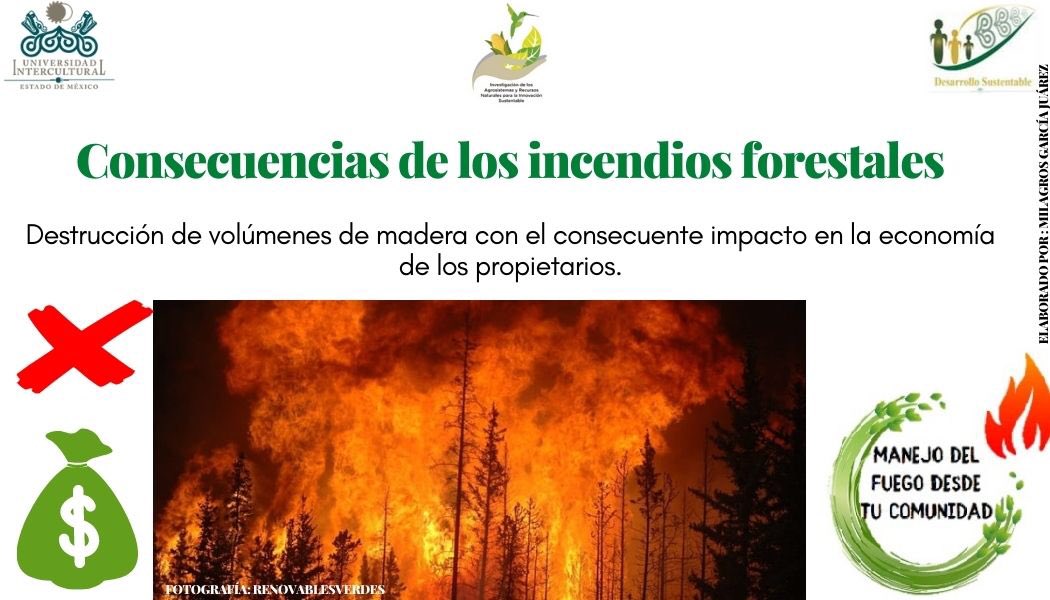 UIEMOficial's tweet photo. 🌱 La licenciatura en #DesarrolloSustentable, durante esta temporada de incendios 🔥, te invita a consultar el programa "Manejo de fuego desde tu comunidad" a cargo de la estudiante de octavo semestre Milagros García Juárez " #NOQUEMA
#SomosUIEM https://t.co/nJcCdU20st