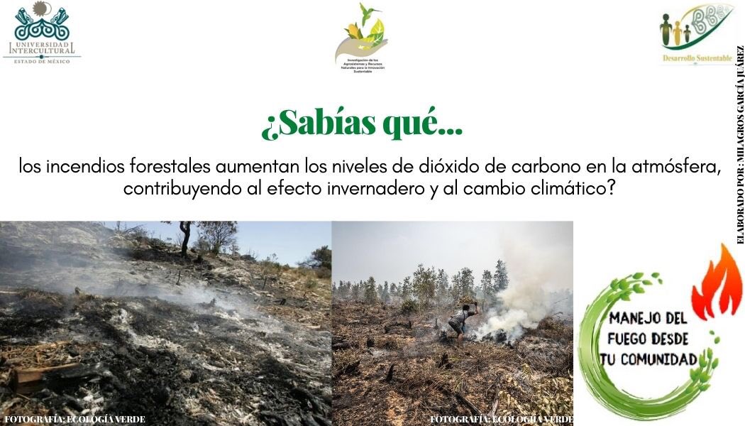UIEMOficial's tweet photo. 🌱 La licenciatura en #DesarrolloSustentable, durante esta temporada de incendios 🔥, te invita a consultar el programa "Manejo de fuego desde tu comunidad" a cargo de la estudiante de octavo semestre Milagros García Juárez " #NOQUEMA
#SomosUIEM https://t.co/nJcCdU20st