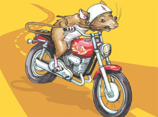 Ralph loves the motorcycle! He also hopes you've been enjoying reading about his adventures about the Mountain View Inn. Don't forget to read chapter 6 tonight.