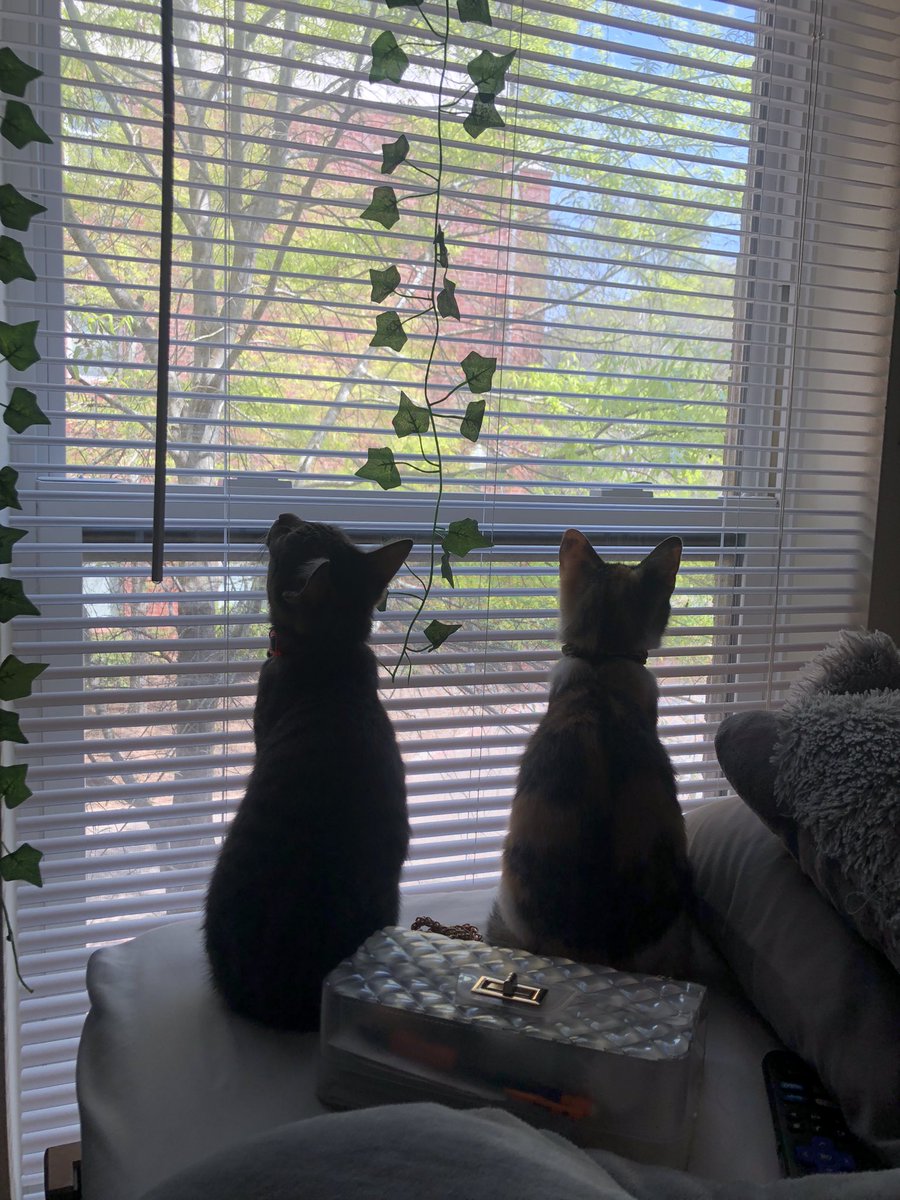 della🫧 tweet media