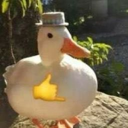 stunhaha's tweet photo. @sebrac02 https://t.co/UCz2oJmsNH