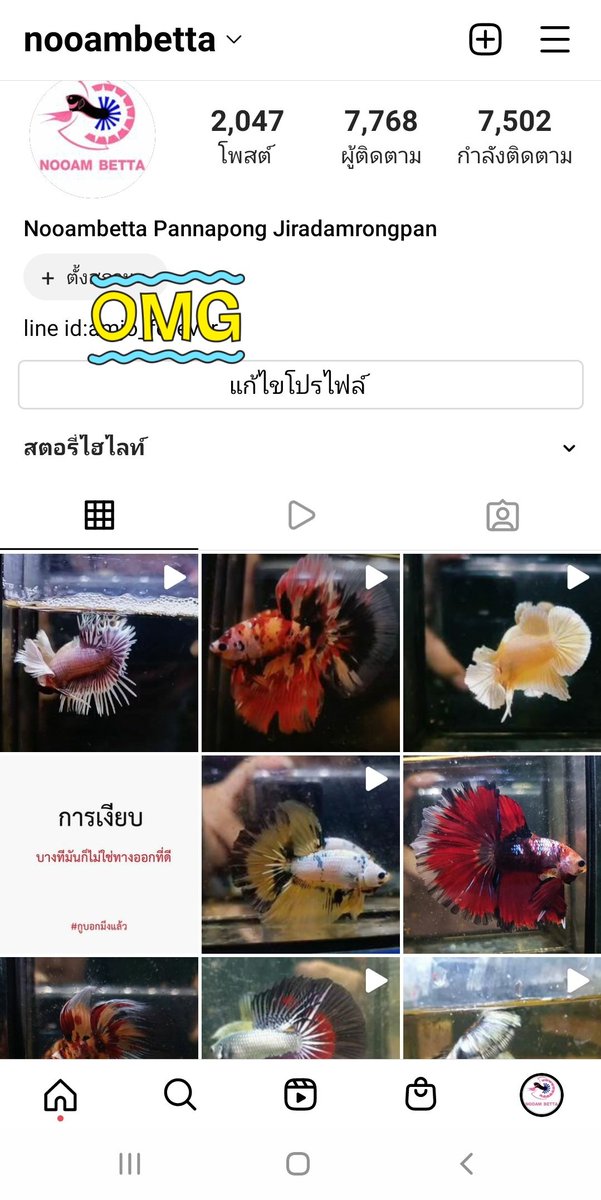 Nooam Betta tweet media