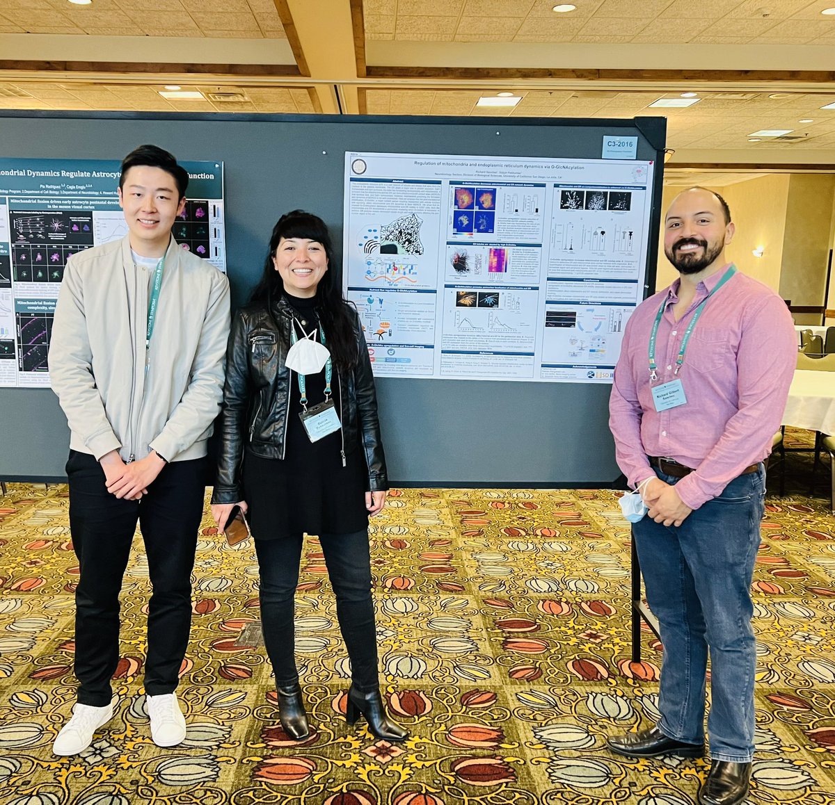 HowardWangUCSD's tweet photo. Can’t wait to see you guys at the poster session today! Great talk @Richard07154117. Thanks for all Pekkurnaz lab members’ @GulcinPekkurnaz support and NK and Irene Cheung Family scholar for funding Keystone symposium travel @KeystoneSymp #mitochondria #KeystoneConference https://t.co/mQrp2IuJWy
