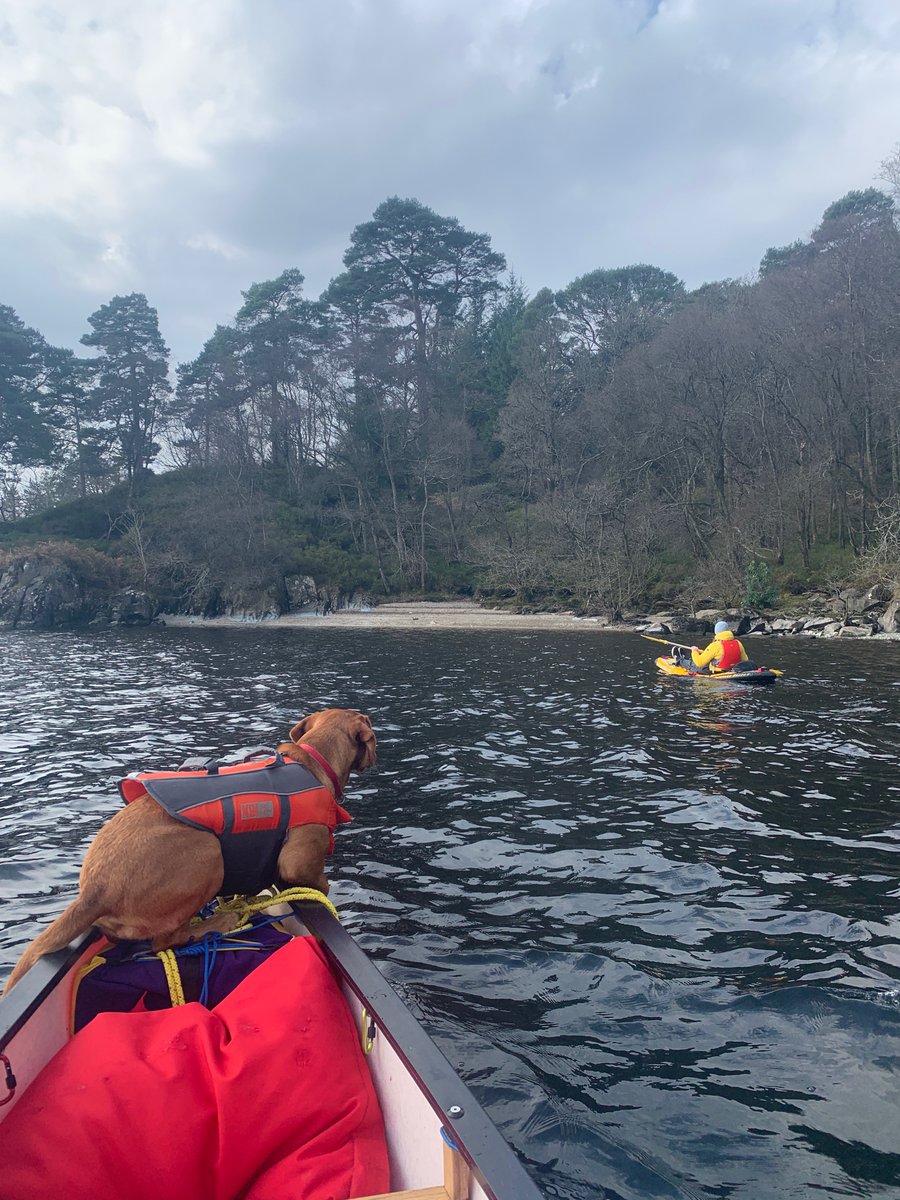 findlaynapier's tweet photo. Beautiful day out on Loch Lomond today. Last paddle before I head out on tour next week. Link to gigs in Montrose, Peniston, Doncaster and Keighley in my bio. #canadiancanoe #canoe #lochlomond @AceCanoes https://t.co/Te6XyLiOuq