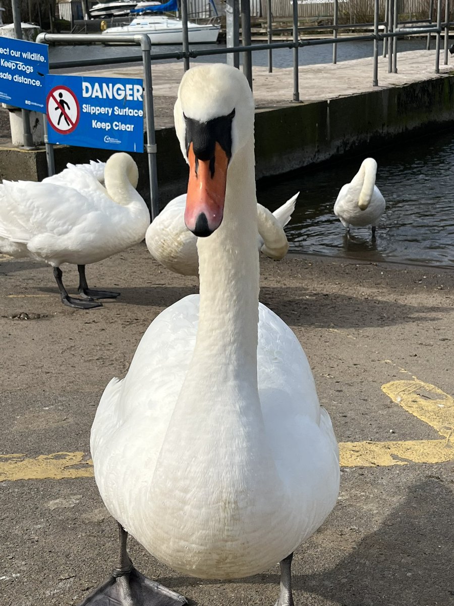 duckanddodge's tweet photo. Antrim. Lough Neagh. #outforadander https://t.co/UXU65EHtIk