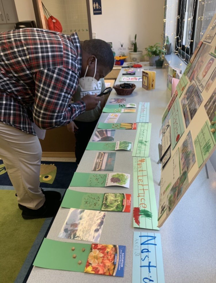 Karen A. Cerabone tweet media