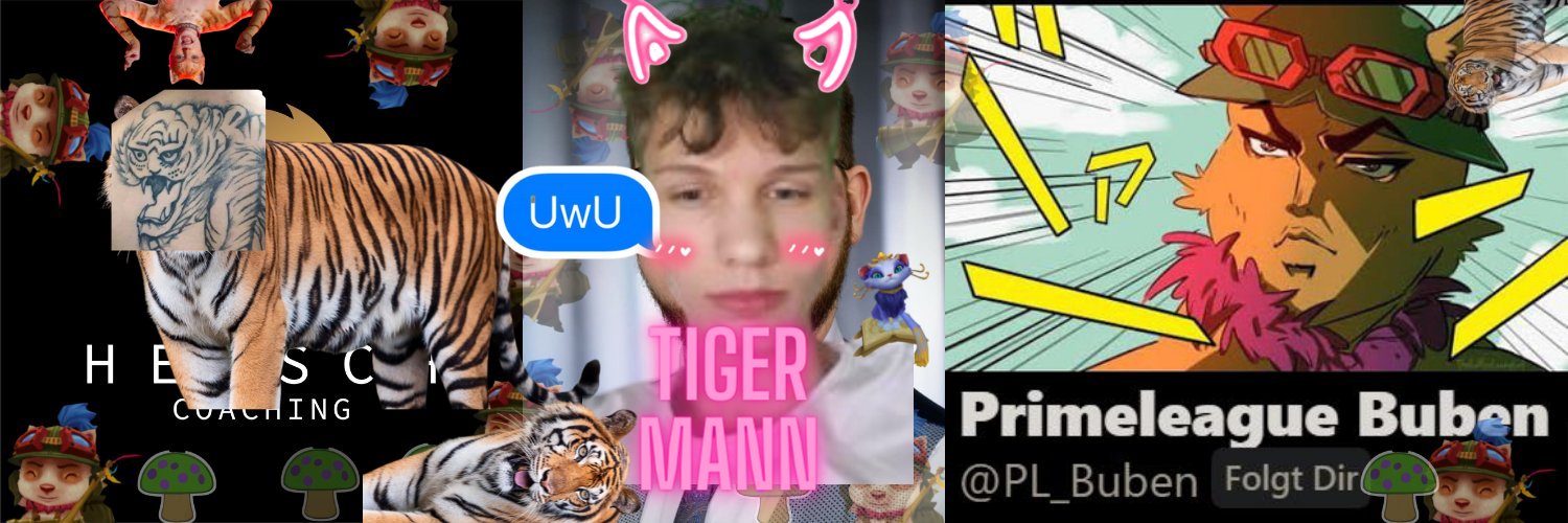 Primeleague Buben (@PL_Buben) / Twitter