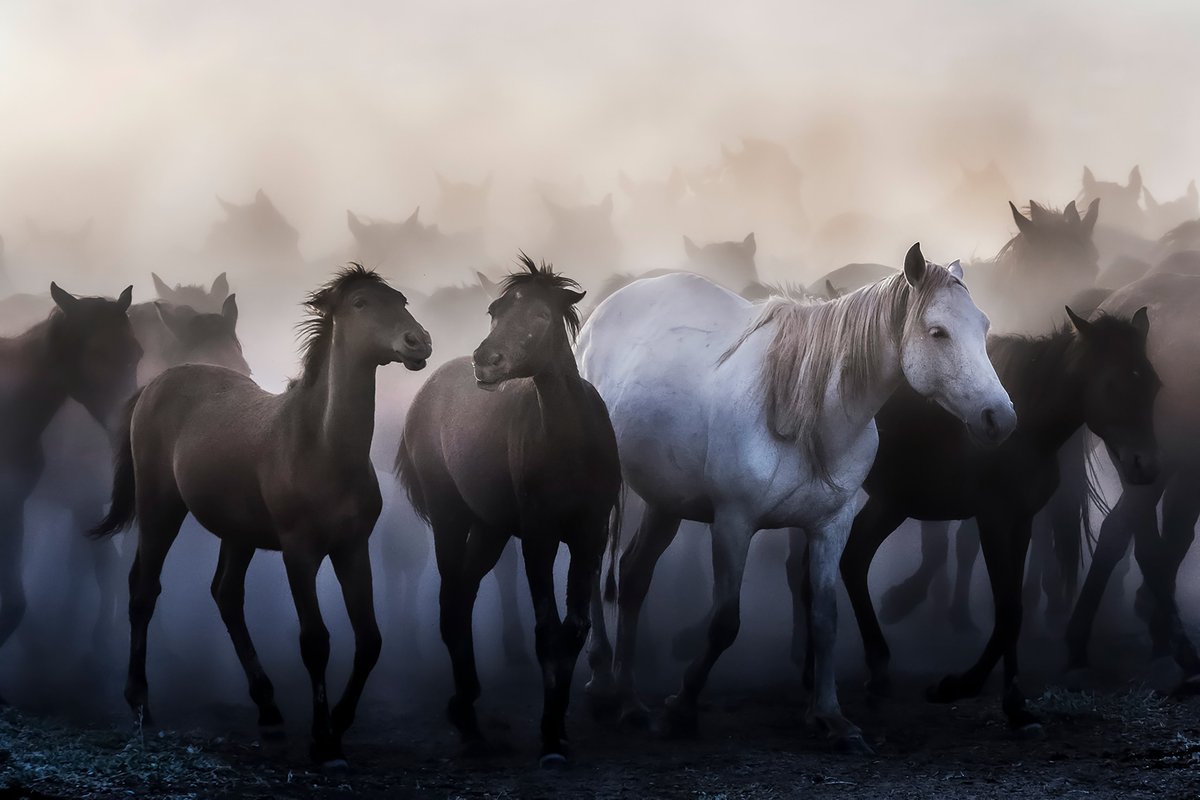 <a href="/barbeetooreen/">Gleb Baturin</a> 0.1 eth