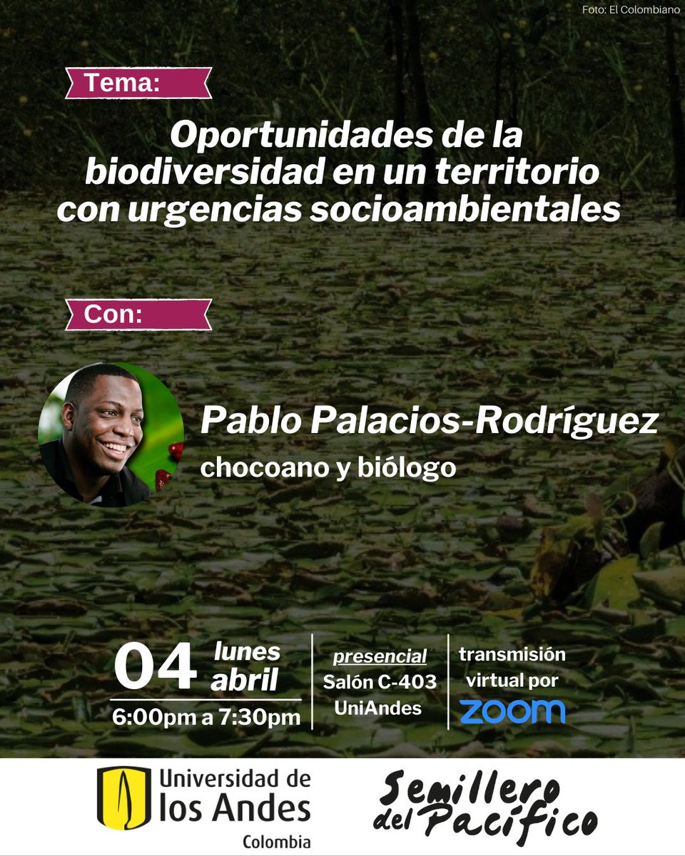 semilleropacif's tweet photo. Este lunes Pablo Palacios-Rodríguez nos compartirá sobre oportunidades de la biodiversidad en un territorio con urgencias socioambientales 🍀

Les invitamos a seguir la discusión presencialmente o virtualmente a través de zoom! 🙋🏽‍♀️🙋🏽‍♂️ https://t.co/9nH91qtBKk