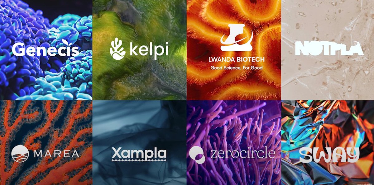 jeffkart's tweet photo. Eight finalists @TOMFORD Plastic Innovation Prize @lonelywhale #UnwrapTheFuture - https://t.co/LW3g7OTvWN https://t.co/qXRylq2sLn