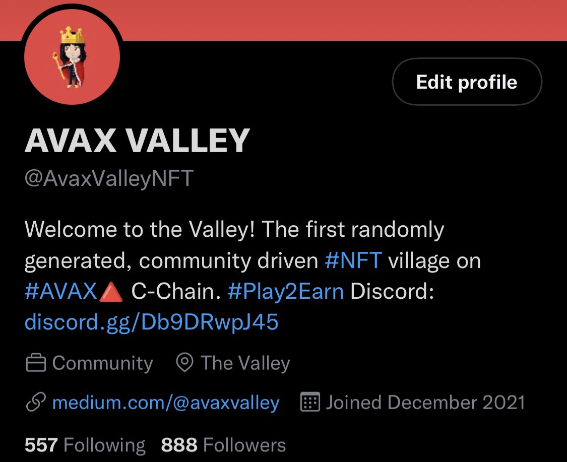 AVAX VALLEY tweet media