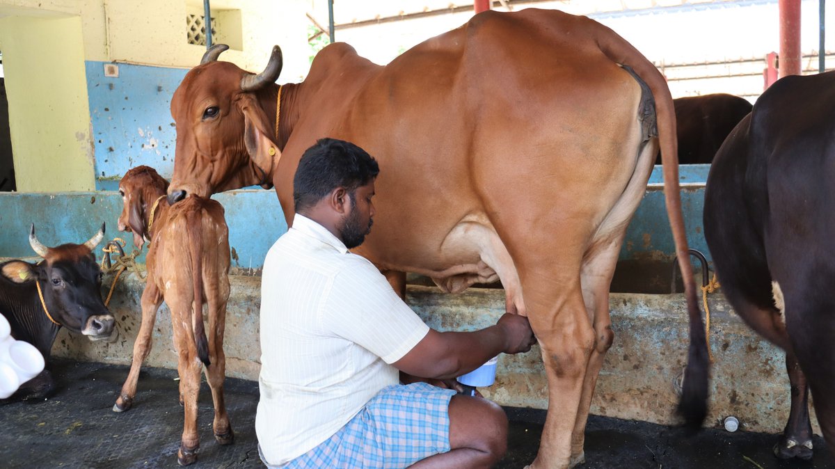 Chimertech Private Limited tweet media