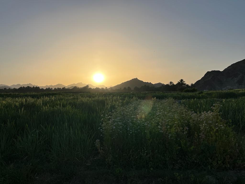 mhtb_21's tweet photo. @pouyapouu بهترین نیس ولی جدید ترینه🥲🤌🏻 https://t.co/ab3TPQva4L