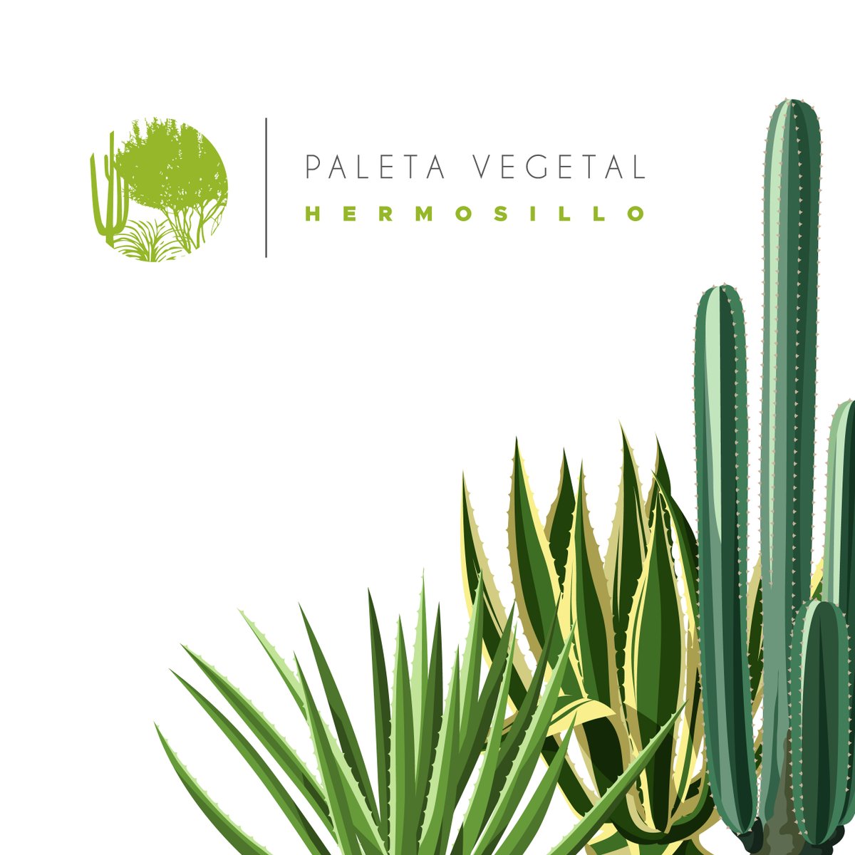 ImplanHMO's tweet photo. Consulta la Paleta Vegetal y el Manual Lineamientos de Diseño de Infraestructura Verde para Municipios Mexicanos en las siguientes ligas:

Paleta vegetal ➡️ https://t.co/JyXn7xM77P

Manual de Infraestructura Verde ➡️ https://t.co/deiIMJPIZP https://t.co/EtJFHakNef