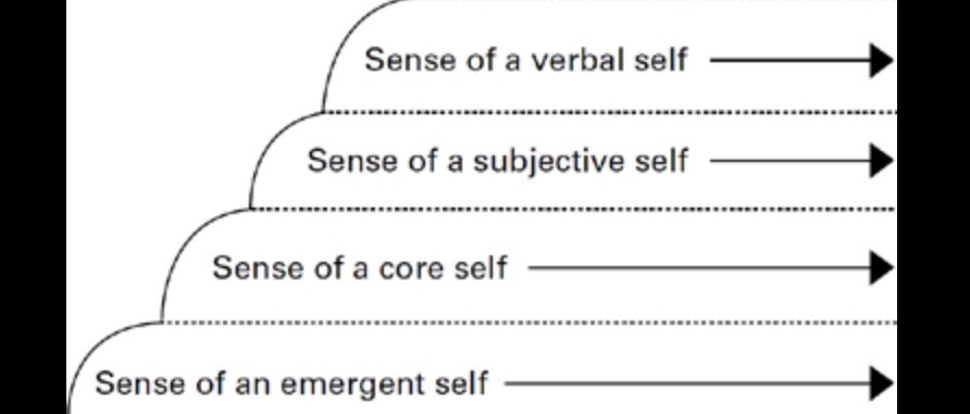 In_to_recovery's tweet photo. To understand addiction as an activity and not an identity, we must understand the function of RIGs (Stern) in adult relationships, the dynamic interaction between overt behavior and internal representation, and the interdependent system. #StigmaKills #BeyondSymptom https://t.co/utZvf86Aff