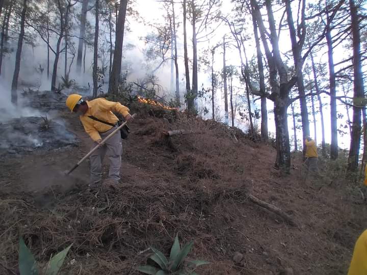 PC_NuevoLeon's tweet photo. Incendio forestal 🔥🌲👨‍🚒 

Protección Civil Nuevo León informa: 

El ataque  aéreo para controlar el combate al incendio forestal en Santiago, se fortaleció con el arribo de dos helicópteros.

⬇️: https://t.co/dg59Ipmra3