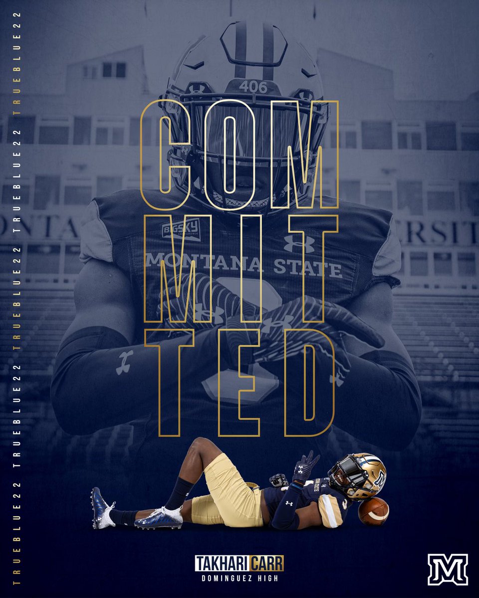 Zilla🦈 tweet media