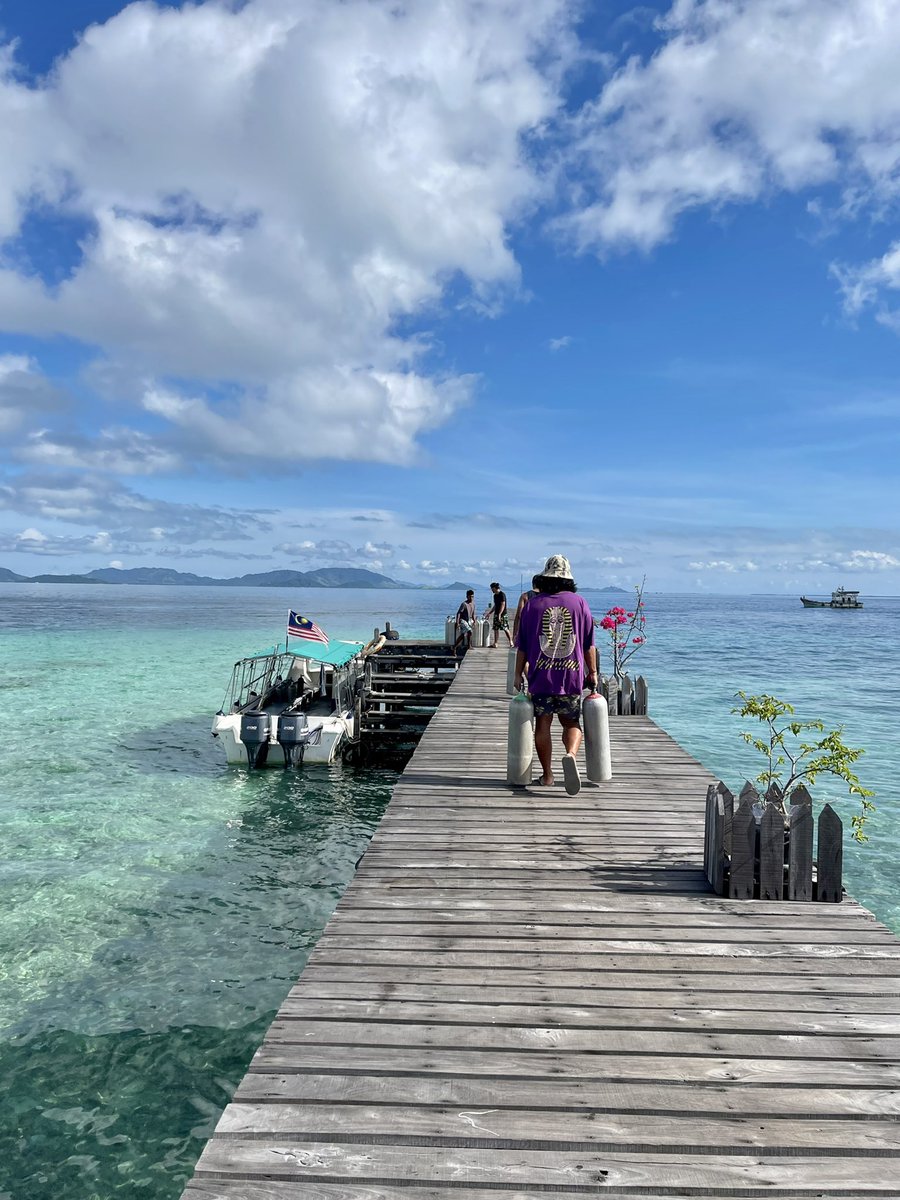 Moonpie153 tweet media