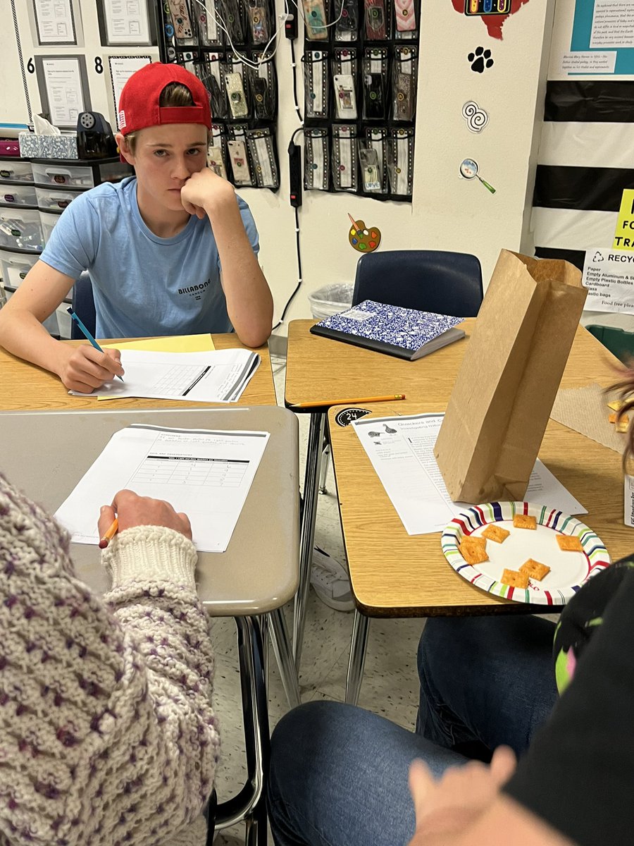 avilamd's tweet photo. Biology students NMSI Quackers and Cottontails Lab! #natural selection #KISDlabstar @NMSI @MrsSimmonsKHS @DebuskRebecca https://t.co/JweH7HjL9L