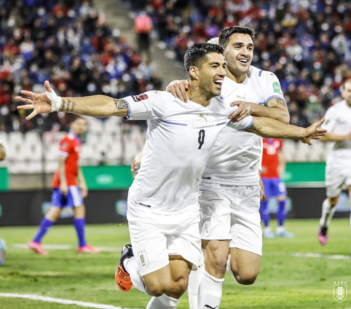 Uruguay's tweet photo. 🔫 𝗘𝗹 𝗾𝘂𝗲 𝗻𝗼 𝗽𝗲𝗿𝗱𝗼𝗻𝗮

Luis Suárez, historia viviente, sinónimo de gol. 

#ElEquipoQueNosUne https://t.co/wOPZrb4hnS
