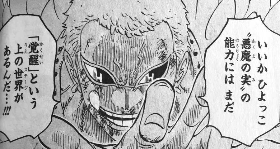 ワンピース 悪魔の実の覚醒条件が判明 覚醒キャラを一覧で紹介 2ページ目 Selvy