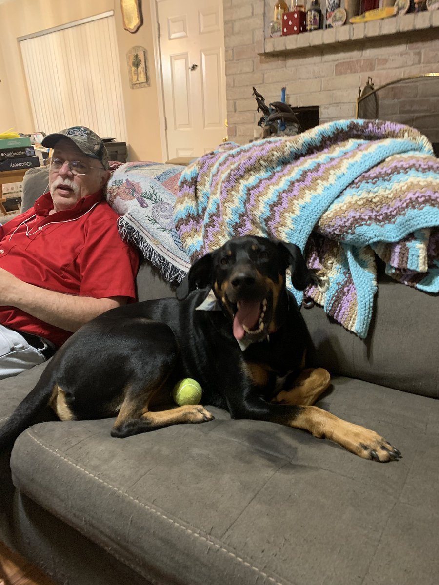 Me and daddy just got fru making sure the back yard was safe for mommy. Now we rest!  Being on patrol for legless creatures is hard work!  But I loves her so I do it!