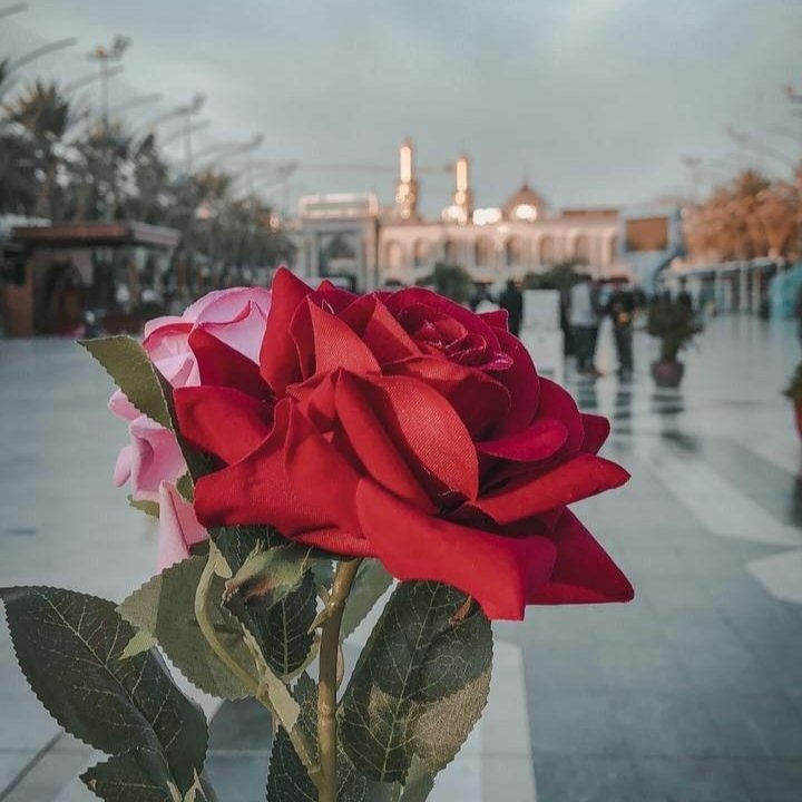 MirzaSharik6's tweet photo. Hr Zarry Ko Najaf Ka Nagina Bana Diya
Hussainع Tm Ne Marny Ko Jeena Bana Diya
#hussainiwriter https://t.co/cByTivMPHb