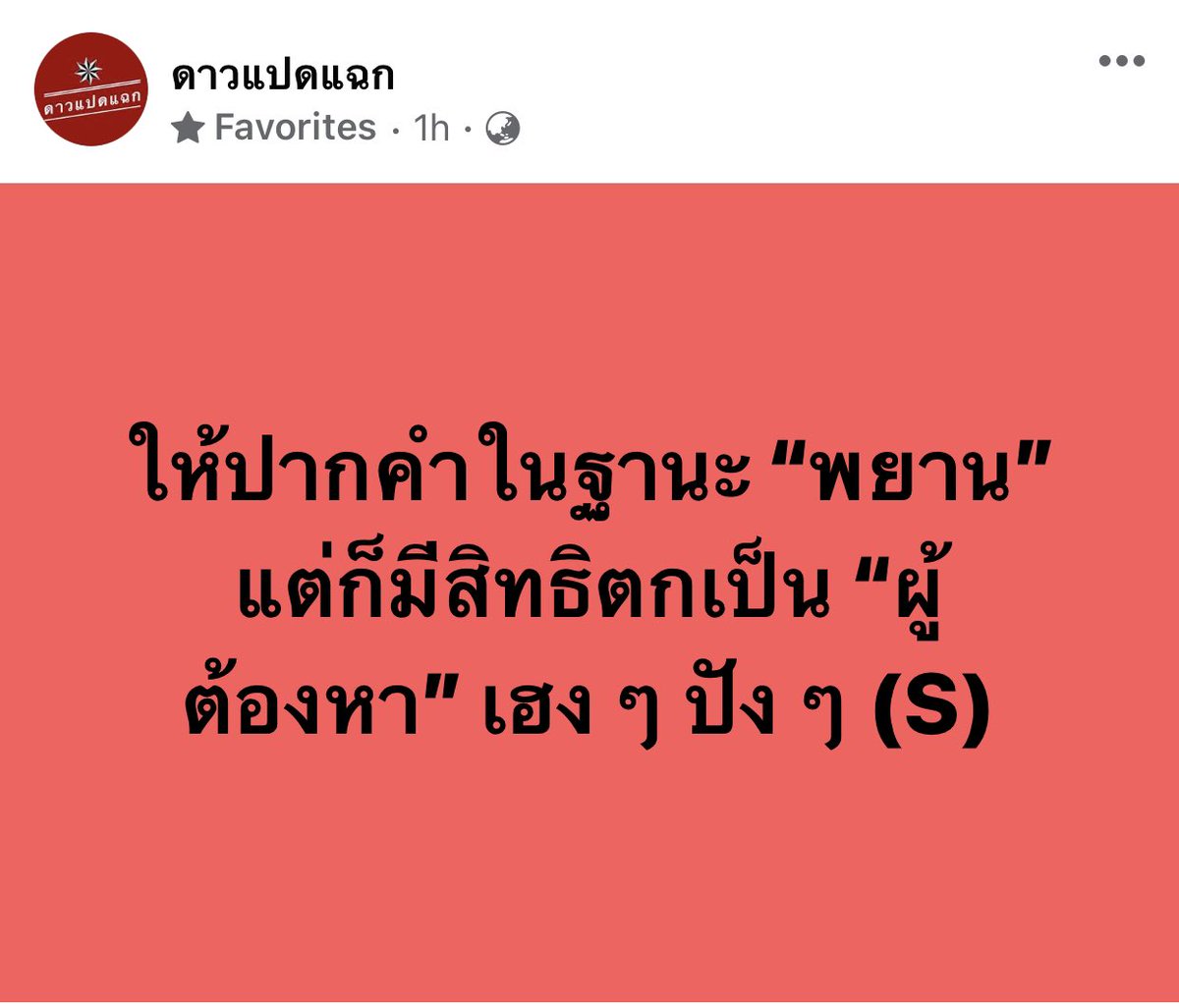 meoww tweet media