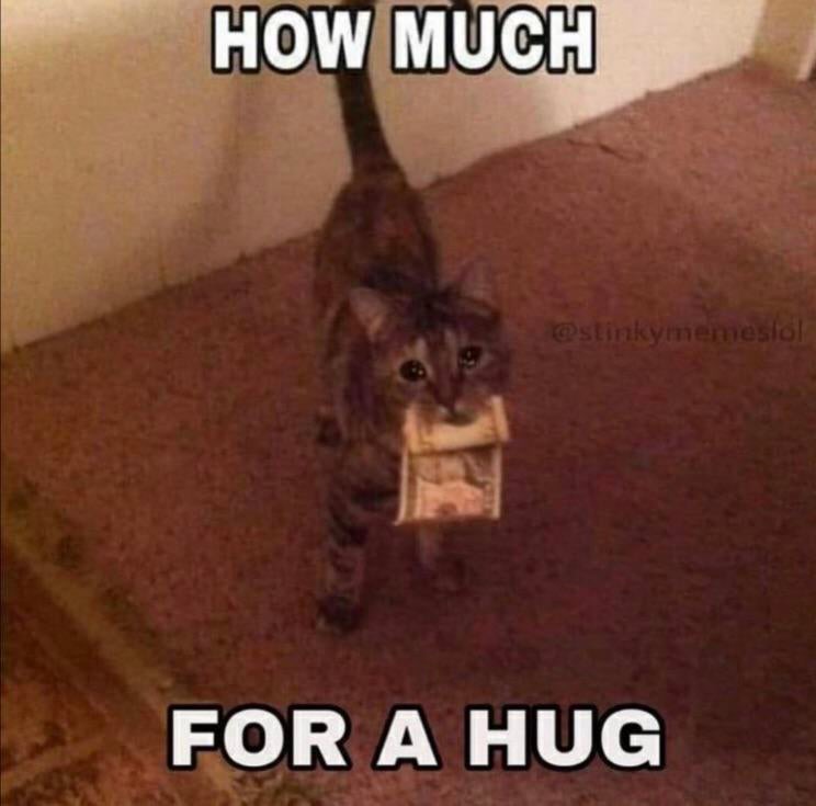 WholesomeMemes tweet media