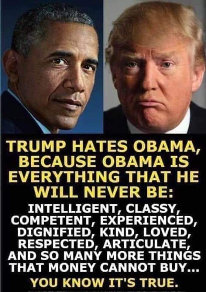 teresab06264778's tweet photo. Still must be said because it is The Truth.  #CarlPaladino #MichaelCaputo and any other #MAGA supporter https://t.co/KEyL2SsUZb