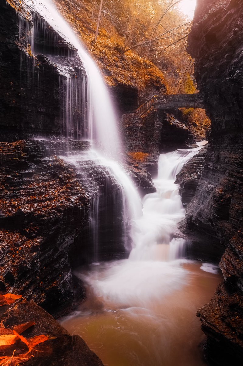 Today's featured piece from our Community Collection is titled 
"#18-Theseus" part of the "Stay Golden: Fall Collection"

You can see this piece and others from our community collection in our <a href="/spatialxr/">❗DO NOT USE❗ Now @Spatial_io 🎉</a> gallery! <a href="/walasavagephoto/">Steve Walasavage 🔥📸🔥</a> 🍁

spatial.io/rooms/62334176…