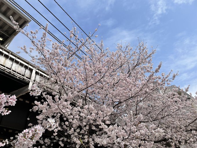 なつみかんのTwitter画像13