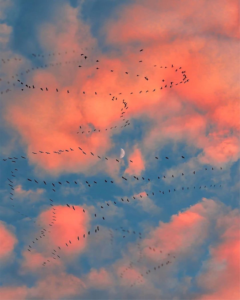 para los amantes del cielo.