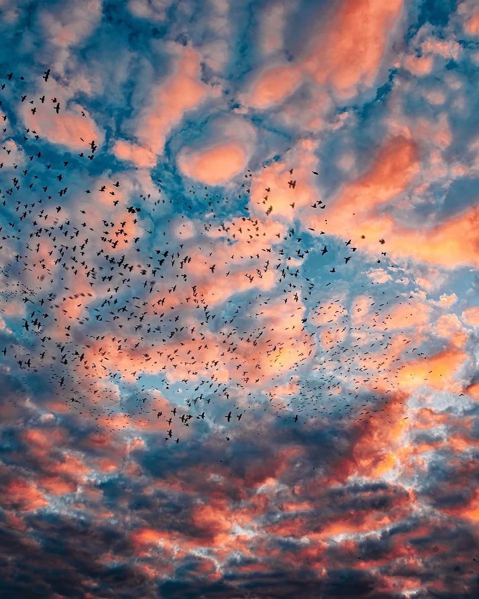 escritosrame's tweet photo. para los amantes del cielo. https://t.co/z8VzzVgSQ2