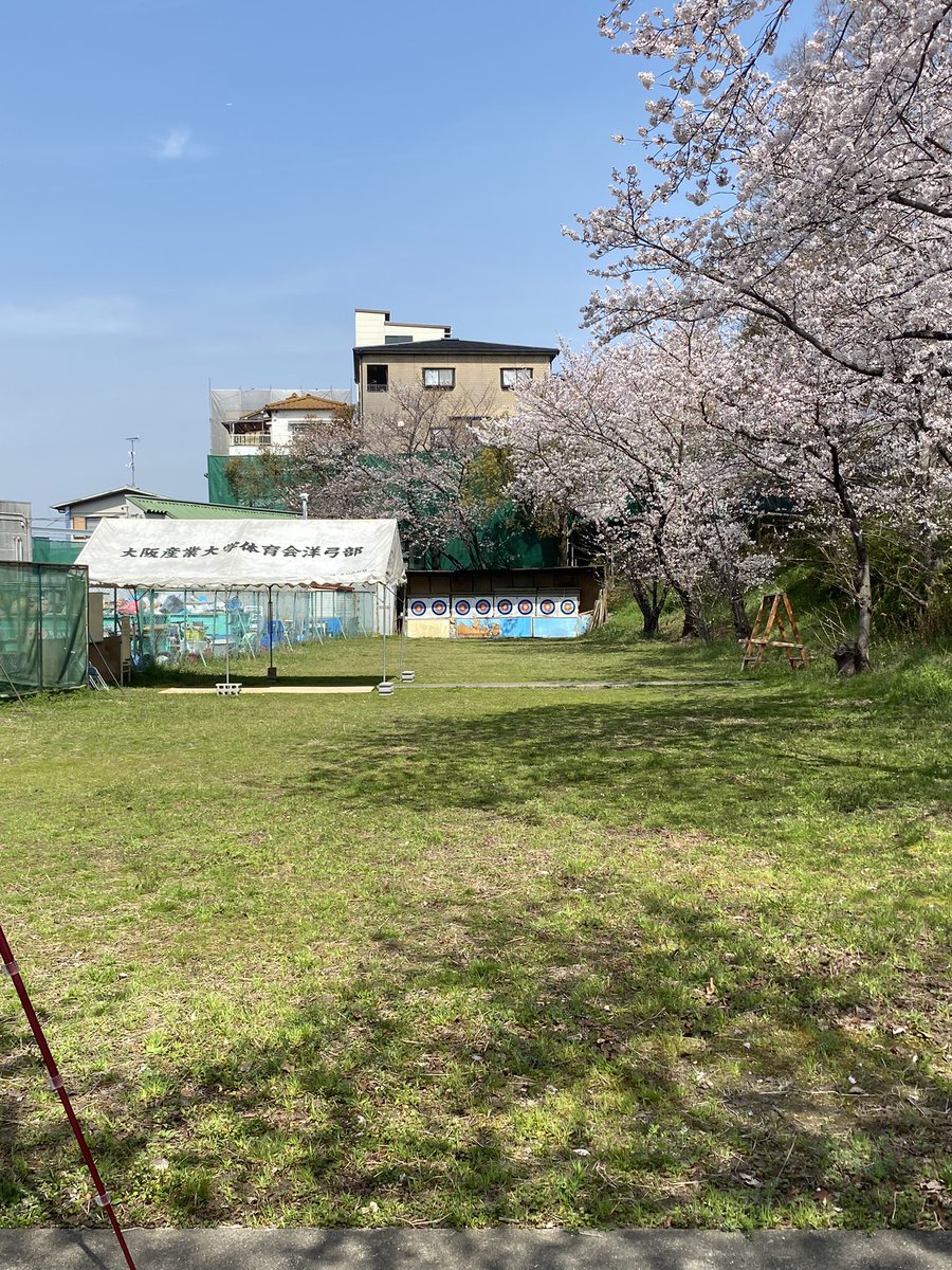 OSU_Archery's tweet photo. アーチェリー部のレンジの様子です！
桜が満開しています！
ぜひ体験に来て下さい！
#アーチェリー #アーチェリー部 #大阪産業大学 #大阪産業大学アーチェリー部 #春から大産 #春から大産大 https://t.co/ChvBy5Ekcl