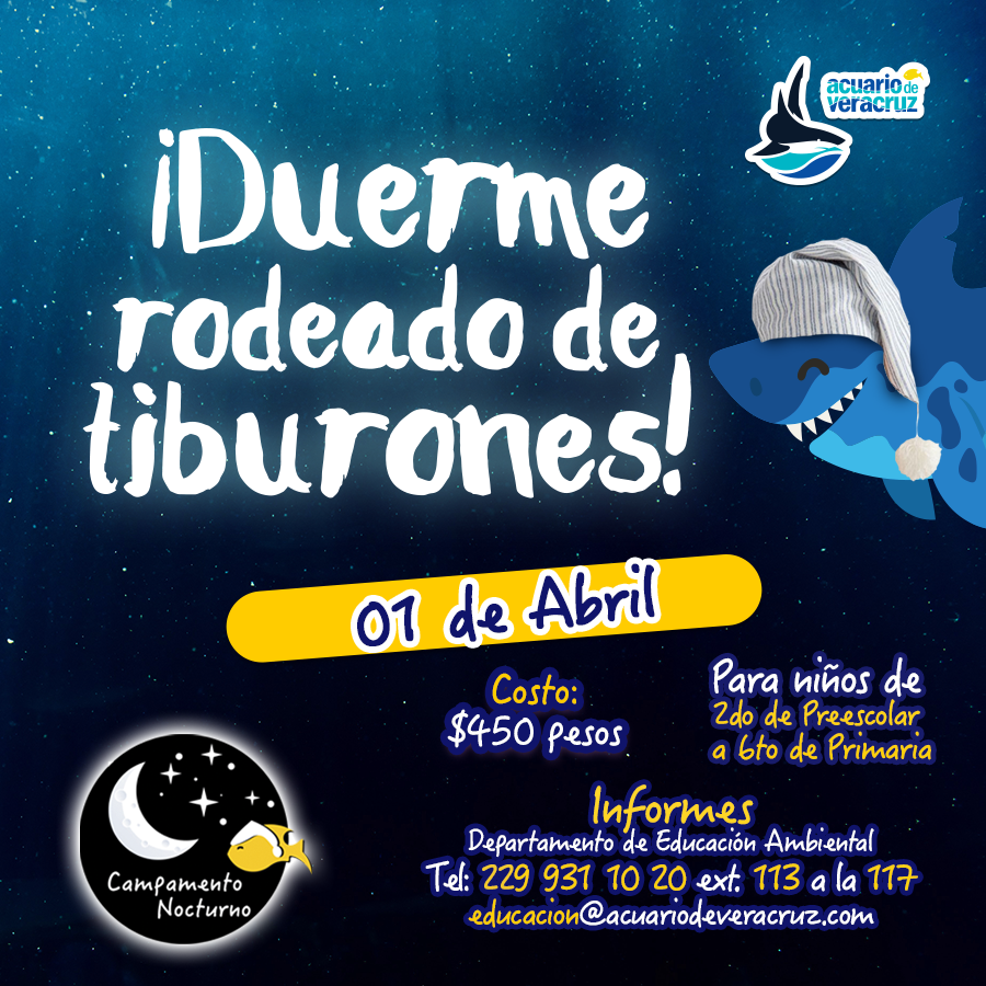 Los Campamentos Nocturnos del Acuario de Veracruz son una experiencia ¡INOLVIDABLE! 🦈 ⭐️🌙
Inscribe a tus hijos y déjalos vivir esta increíble aventura. 
Informes:
☎️Teléfono 229 931 1020 ext. 113 a la  117 
💻educacion@acuariodeveracruz.com
¡Cupo limitado!